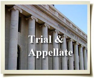 Contact us for more information on our expertise with Trial and Appellate matters.